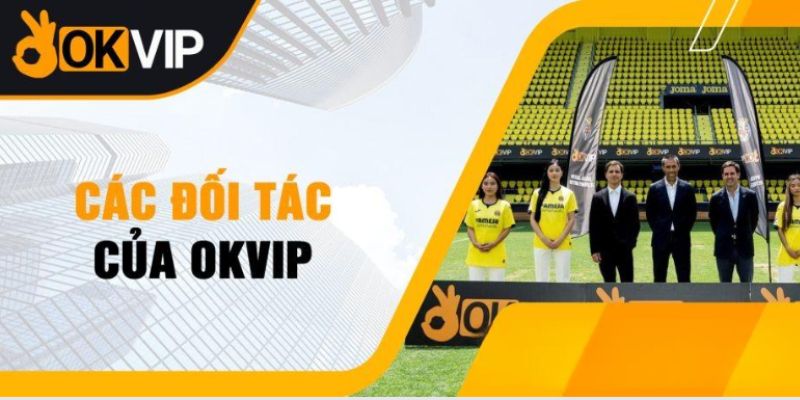 Những đối tác của liên minh OKVIP nổi bật hiện nay